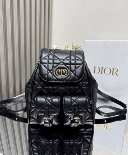Dior Bag 6301