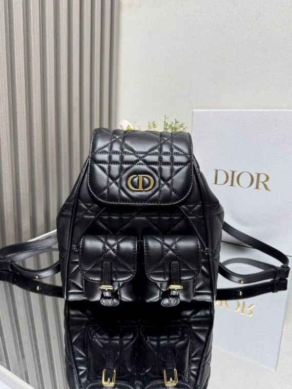 Dior Bag 6301