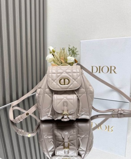 Dior Bag 6302