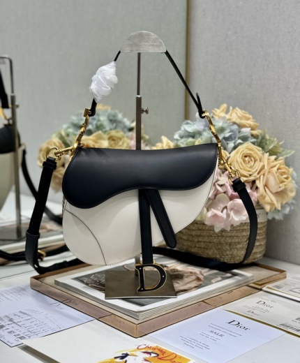 Dior Bag Saddle