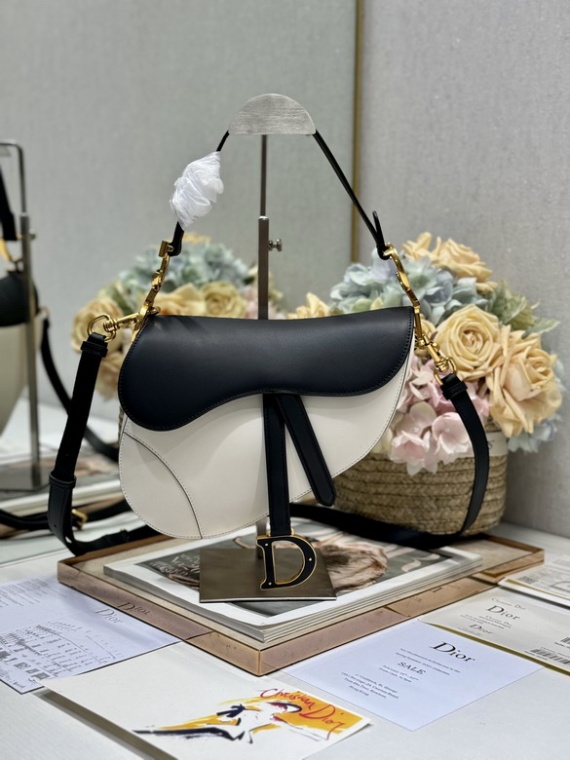 Dior Bag Saddle